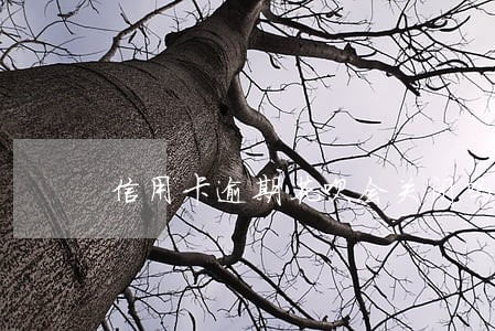 信用卡逾期花呗会关闭吗