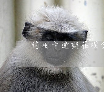 信用卡逾期花呗会降额吗 信用卡逾期花呗会降额吗