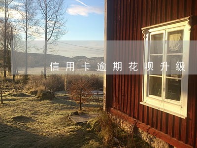 信用卡逾期花呗升级 信用卡逾期花呗升级