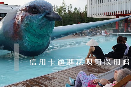 信用卡逾期花呗可以用吗