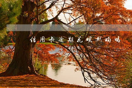 信用卡逾期花呗影响吗 信用卡逾期花呗影响吗