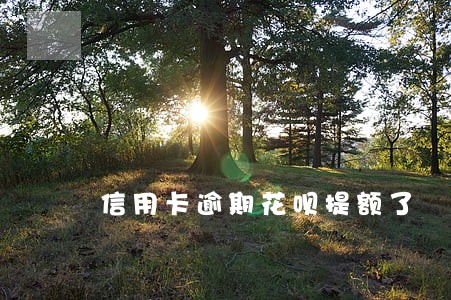 信用卡逾期花呗提额了 信用卡逾期花呗提额了