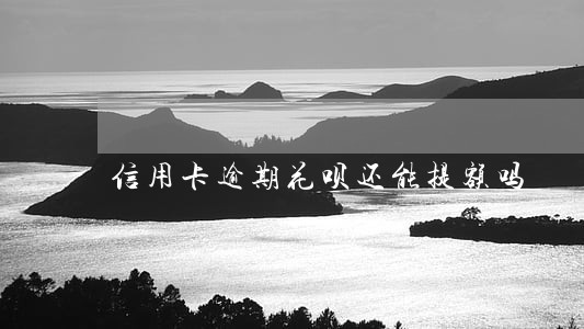 信用卡逾期花呗还能提额吗 信用卡逾期花呗还能提额吗