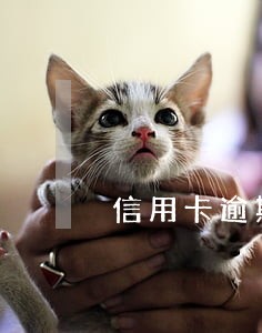 信用卡逾期花钱找人协商 信用卡逾期花钱找人协商