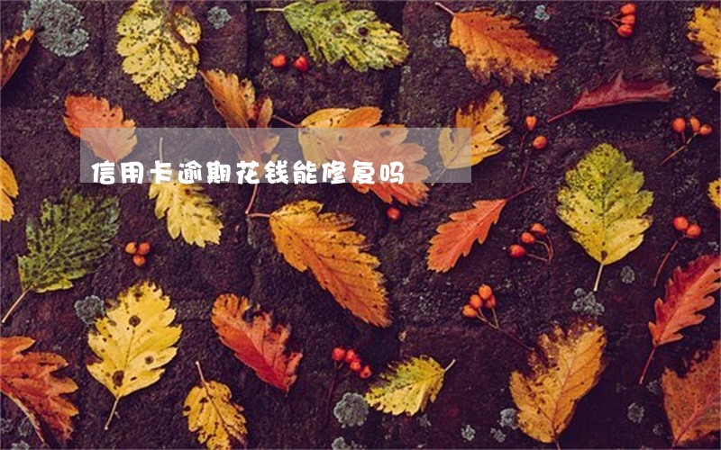 信用卡逾期花钱能修复吗 信用卡逾期花钱能修复吗