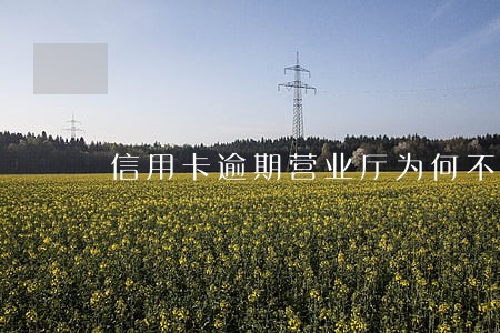 信用卡逾期营业厅为何不协商 信用卡逾期营业厅为何不协商