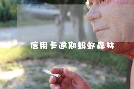 信用卡逾期蚂蚁森林 信用卡逾期蚂蚁森林