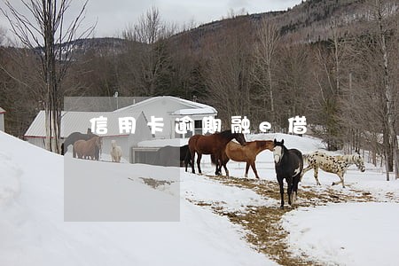 信用卡逾期融e借 信用卡逾期融e借
