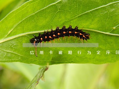 信用卡逾期行为定序回归