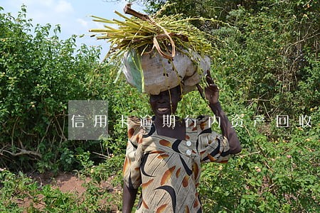 信用卡逾期行内资产回收 信用卡逾期行内资产回收