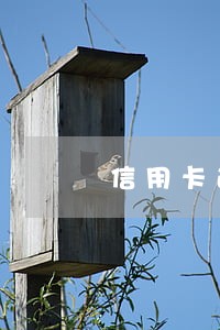 信用卡逾期街道办事处会联系吗 信用卡逾期街道办事处会联系吗