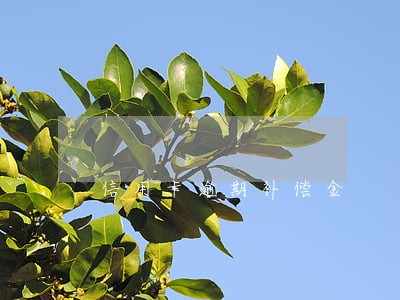 信用卡逾期补偿金 信用卡逾期补偿金