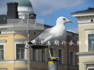 信用卡逾期补办能用吗 信用卡逾期补办能用吗