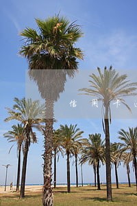 信用卡逾期补卡怎么补 信用卡逾期补卡怎么补