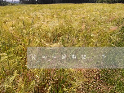 信用卡逾期被一年