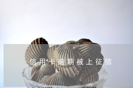 信用卡逾期被上征信 信用卡逾期被上征信