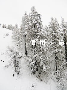 信用卡逾期被上网 信用卡逾期被上网