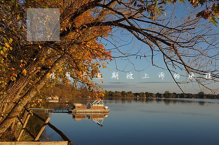 信用卡逾期被上诉的流程 信用卡逾期被上诉的流程