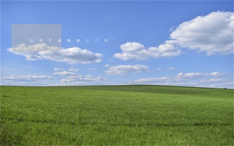 信用卡逾期被上门的 信用卡逾期被上门的