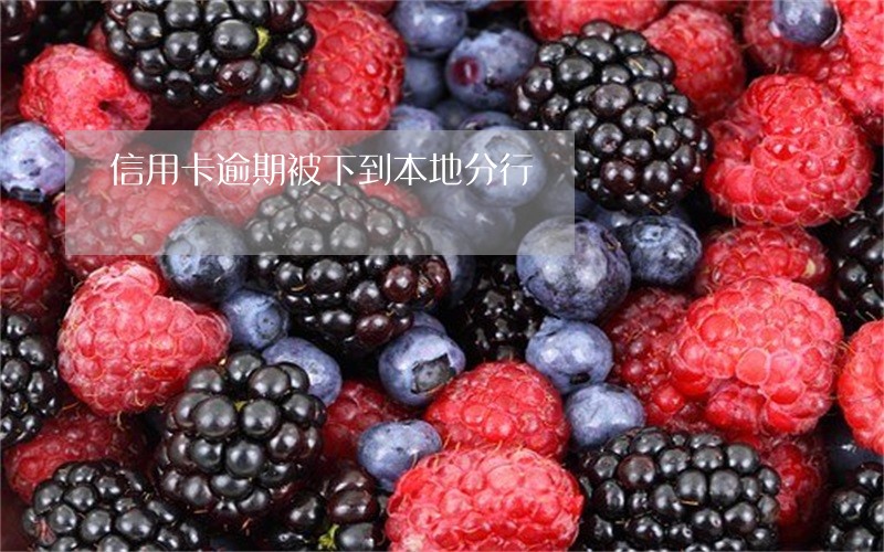 信用卡逾期被下到本地分行 信用卡逾期被下到本地分行