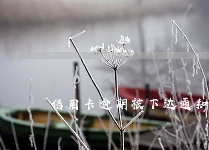 信用卡逾期被下达通知函 信用卡逾期被下达通知函