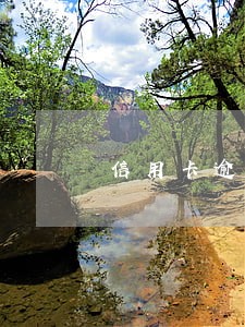 信用卡逾期被不催还最低可以吗