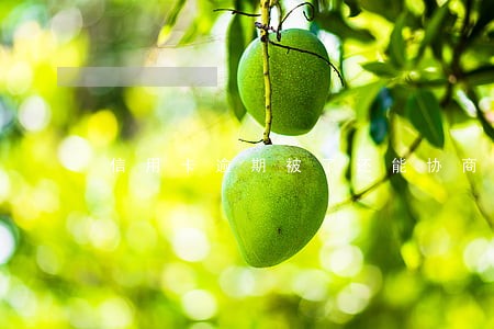 信用卡逾期被了还能协商吗 信用卡逾期被了还能协商吗