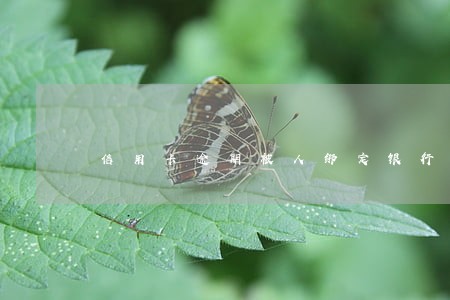 信用卡逾期被人绑定银行卡 信用卡逾期被人绑定银行卡
