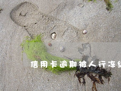 信用卡逾期被人行冻结 信用卡逾期被人行冻结