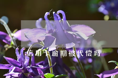 信用卡逾期被代偿吗 信用卡逾期被代偿吗