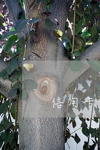 信用卡逾期被仲裁仲裁费 信用卡逾期被仲裁仲裁费