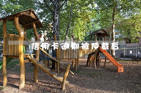 信用卡逾期被仲裁后