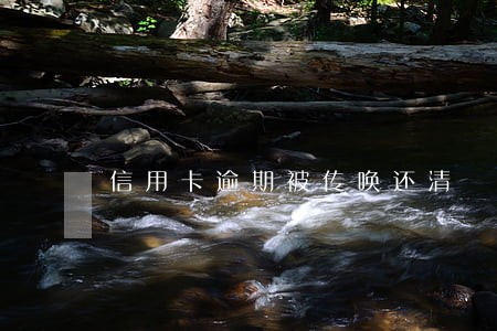 信用卡逾期被传唤还清 信用卡逾期被传唤还清