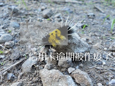信用卡逾期被作废了 信用卡逾期被作废了