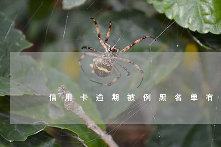 信用卡逾期被例黑名单有什么影响 信用卡逾期被例黑名单有什么影响