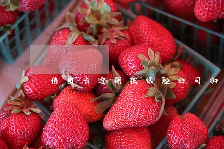 信用卡逾期被保险公司扣保费