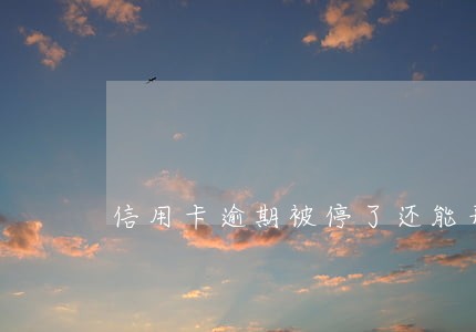 信用卡逾期被停了还能开吗 信用卡逾期被停了还能开吗