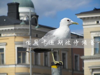 信用卡逾期被停储蓄卡 信用卡逾期被停储蓄卡