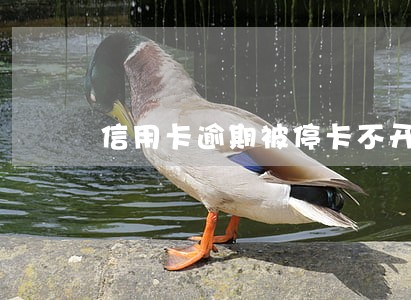 信用卡逾期被停卡不开通 信用卡逾期被停卡不开通