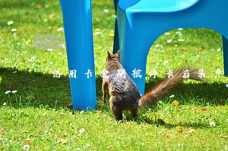 信用卡逾期被停卡后果严重 信用卡逾期被停卡后果严重