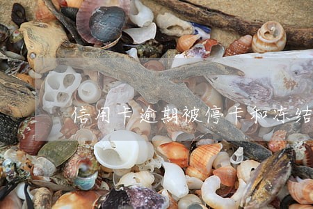 信用卡逾期被停卡和冻结 信用卡逾期被停卡和冻结