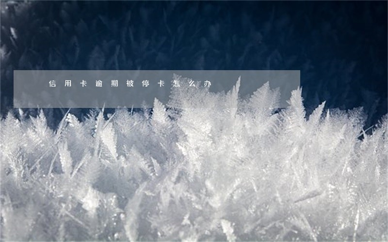 信用卡逾期被停卡怎么办 信用卡逾期被停卡怎么办