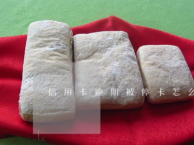 信用卡逾期被停卡怎么处理 信用卡逾期被停卡怎么处理
