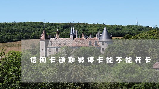 信用卡逾期被停卡能不能开卡