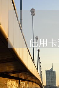 信用卡逾期被停卡要求一次偿还 信用卡逾期被停卡要求一次偿还