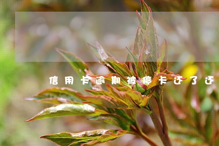 信用卡逾期被停卡还了还能用吗