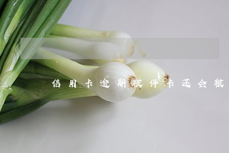 信用卡逾期被停卡还会被开通 信用卡逾期被停卡还会被开通