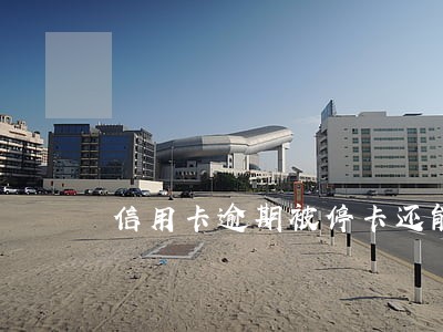 信用卡逾期被停卡还能被开通吗 信用卡逾期被停卡还能被开通吗