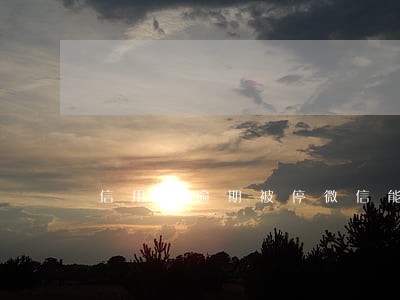 信用卡逾期被停微信能还吗 信用卡逾期被停微信能还吗