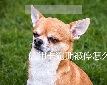 信用卡逾期被停怎么恢复使用